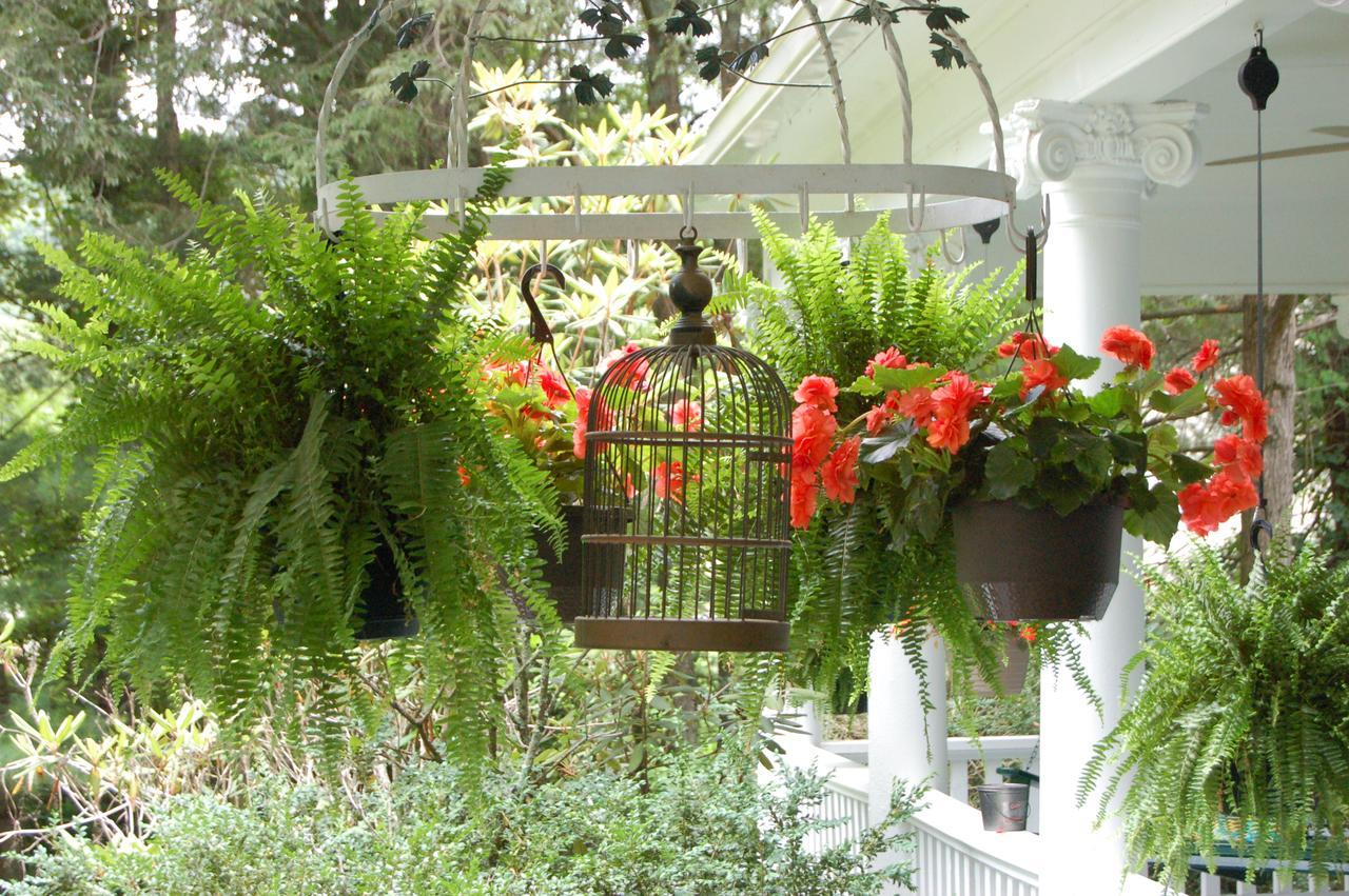 Mountain Laurel Inn Damascus Exterior foto